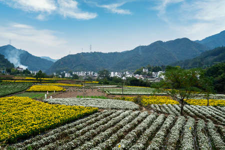 Huangshan Huizhou rural pastoral sceneryの写真素材