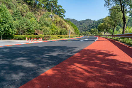 Close-up of asphalt road in forest park outdoorsの写真素材
