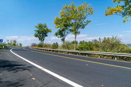 Close-up of asphalt road in forest park outdoorsの写真素材