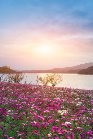 Lakeside scenery of Qiandao Lake in Hangzhouの写真素材