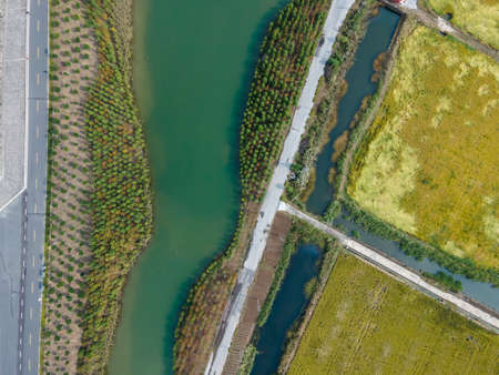Aerial photography outdoor forest road closeupの写真素材