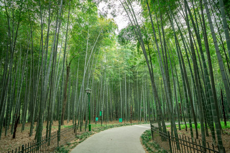 Outdoor Chinese garden landscape street viewの写真素材