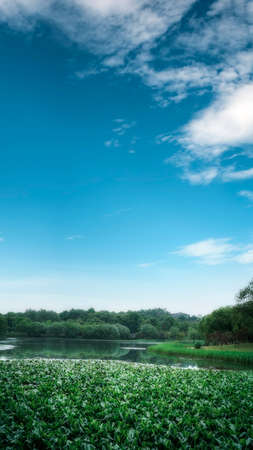 Outdoor Chinese garden landscape lake sceneryの写真素材
