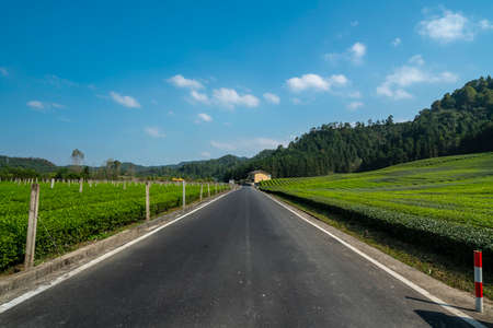 Asphalt road skyline and outdoor nature sceneryのeditorial素材