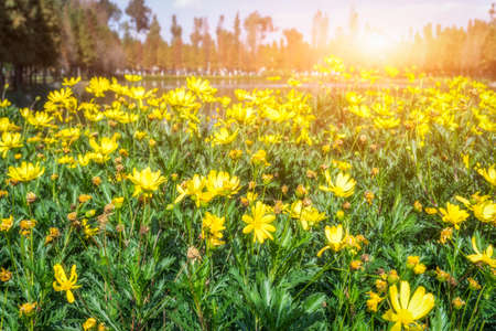 Kunming ethnic village Chinese garden sceneryの写真素材
