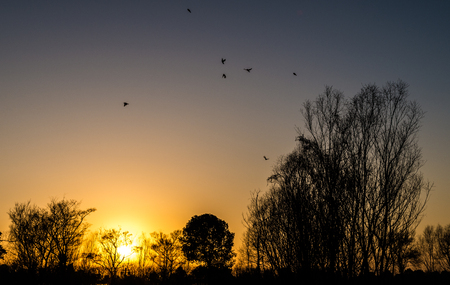 Sunsetの写真素材