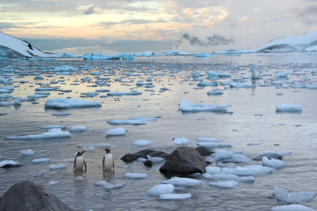 Two penguins in the ice in Antarcticaの写真素材