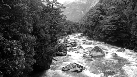 Wild river running through rocks and treesの写真素材