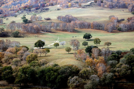 View of  countrysideの写真素材