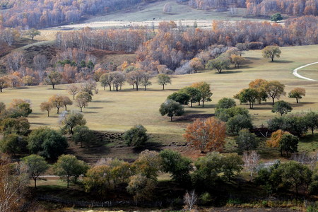 View of  countrysideの写真素材