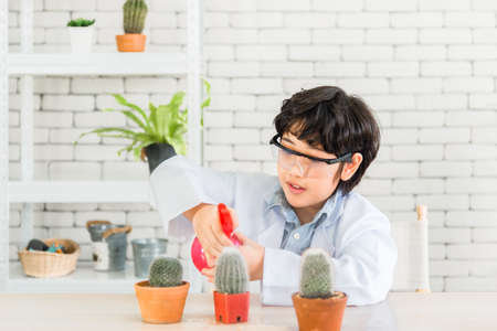 Happy asian child boy sitting and wearing goggle with water spraying to cactus in greenhouse. Handsome little boy in white gown planting cactus and watering plants by foggy spray in classroom.の写真素材