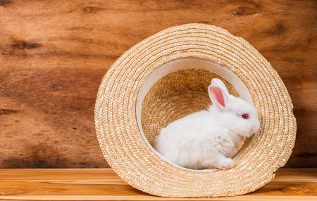 Little white rabbit standing in straw hat on wooden background.の写真素材