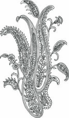 Vector Paisley Materials on white backgroundのイラスト素材