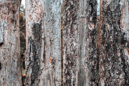 Old wood planks.