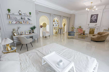 chic luxury interior in an old antique style open-plan apartment decorated with columns and stucco...