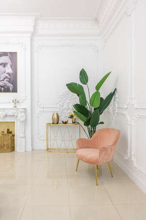 chic luxury interior in an old antique style open-plan apartment decorated with columns and stucco on the wall in pastel colors. tiles on the floor. beige wallsの写真素材