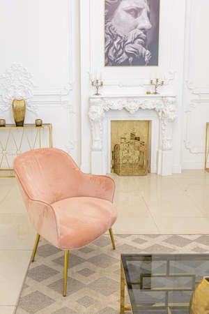 chic luxury interior in an old antique style open-plan apartment decorated with columns and stucco on the wall in pastel colors. tiles on the floor. beige wallsの写真素材