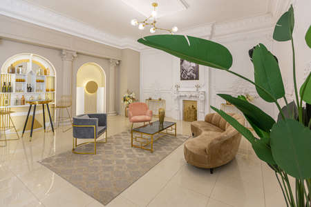 chic luxury interior in an old antique style open-plan apartment decorated with columns and stucco on the wall in pastel colors. tiles on the floor. beige wallsの写真素材