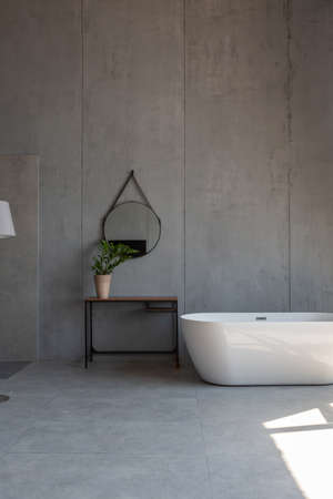 Modern minimalistic dark gray loft style studio apartment interior design. kitchen, sitting area, workplace, shower and bath. bright sun rays inside.の写真素材