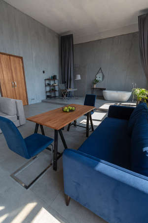 Modern minimalistic dark gray loft style studio apartment interior design. kitchen, sitting area, workplace, shower and bath. bright sun rays inside.の写真素材