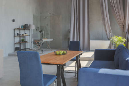 Modern minimalistic dark gray loft style studio apartment interior design. kitchen, sitting area, workplace, shower and bath. bright sun rays inside.の写真素材