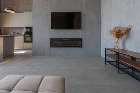 Modern minimalistic dark gray loft style studio apartment interior design. kitchen, sitting area,...