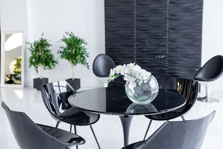 Luxurious futuristic trendy modern interior in contrasting black and white colors with interesting fashionable black furniture and decorated wallの写真素材