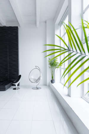 Luxurious futuristic trendy modern interior in contrasting black and white colors with interesting fashionable black furniture and decorated wallの写真素材