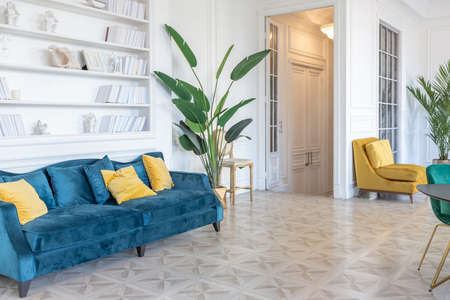 modern and very stylish interior design of large studio apartment with fashionable furniture with...