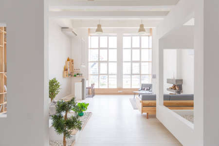 Luxury fashionable modern design studio apartment with a free layout in a minimal style. very bright...