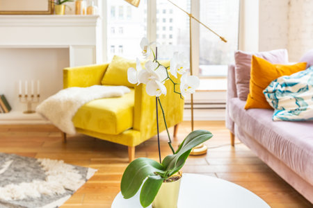 Scandinavian style apartment interior. bright yellow warm colors. wooden flooring. sunlight in large windows.の写真素材