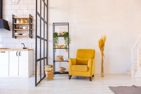 luxury modern design of a cozy small Scandinavian-style studio apartment with white walls, second...