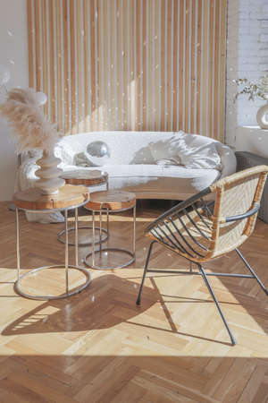 expensive modern light luxury interior design of a spacious living room with wooden elements and...