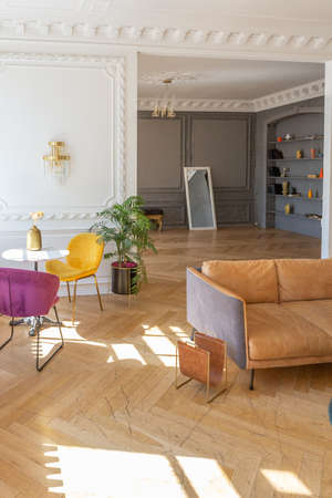 luxury interior of a spacious apartment in an old 19th century historical house with modern...