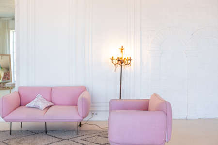 delicate and cozy light interior of the living room with modern stylish furniture of pastel pink...