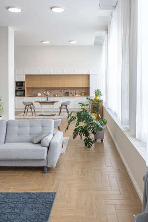 minimalist modern interior design huge bright apartment with an open plan in Scandinavian style in...