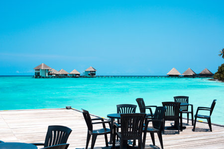 tropical beach in Maldives with few palm trees and blue lagoonの写真素材