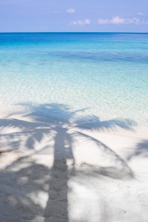 Palm tree shadow on white sand beach with turquoise waterの写真素材