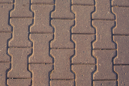 Brick pathway in the park. Background and texture for design.の写真素材