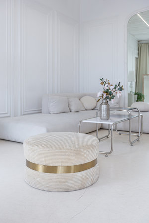 interior of a bright living room in a luxurious baroque style with white walls decorated with antique stuccoの写真素材