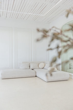 interior of a bright living room in a luxurious baroque style with white walls decorated with antique stuccoの写真素材