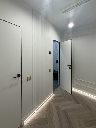 Bright hallway features sleek doors and subtle decorative wall elements. The flooring combines natural wood tones, while soft lighting creates a warm ambiance.の写真素材