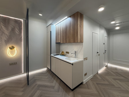 A contemporary apartment interior showcases a spacious layout with sleek wooden flooring and modern lighting fixtures. The kitchen area features minimalist cabinetry for a clean look.の写真素材