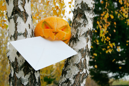 halloween  pumpkin eating letter  in autumn leaves in parkの写真素材