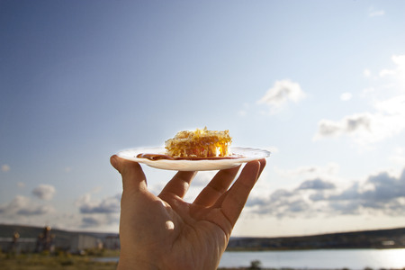 Honey comb on a white saucer on the sky background