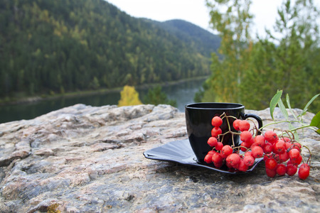 black tea cup in the rock .の写真素材