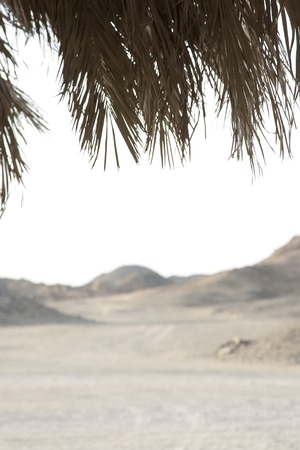 View from a typical African hut in the desert.の写真素材