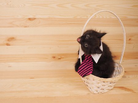 Cute black kitten in a basket on wooden background.の写真素材