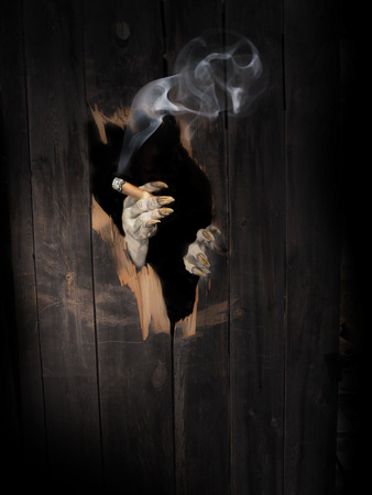 Zombie hand through hole cracked in rustic wood. Halloween theme.の写真素材