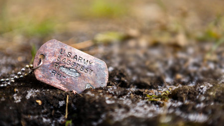 Veterans Day. Grunge military dog tag. USA army.